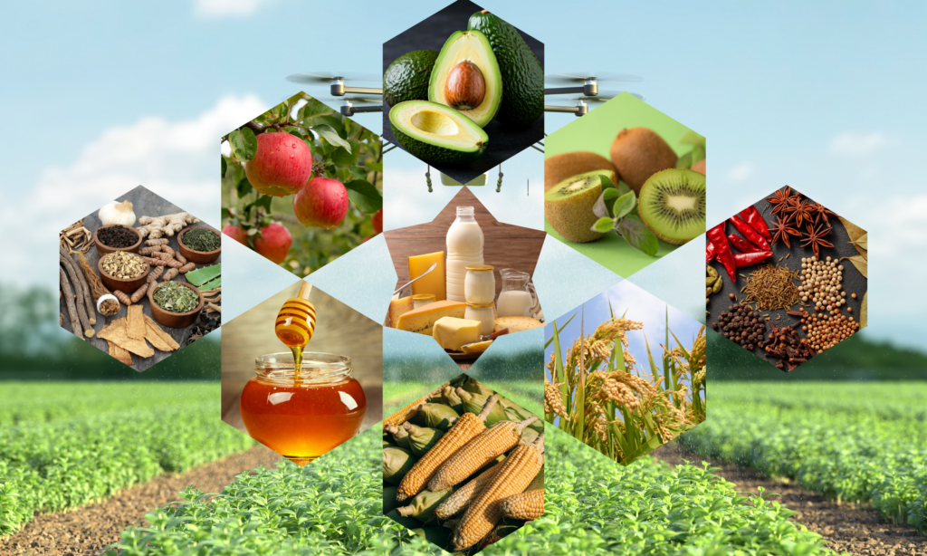 Nepal’s agri-food system