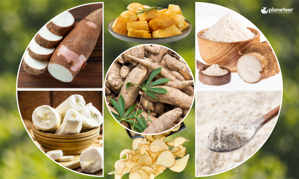 (Simaltarul) Cassava Farming in Nepal