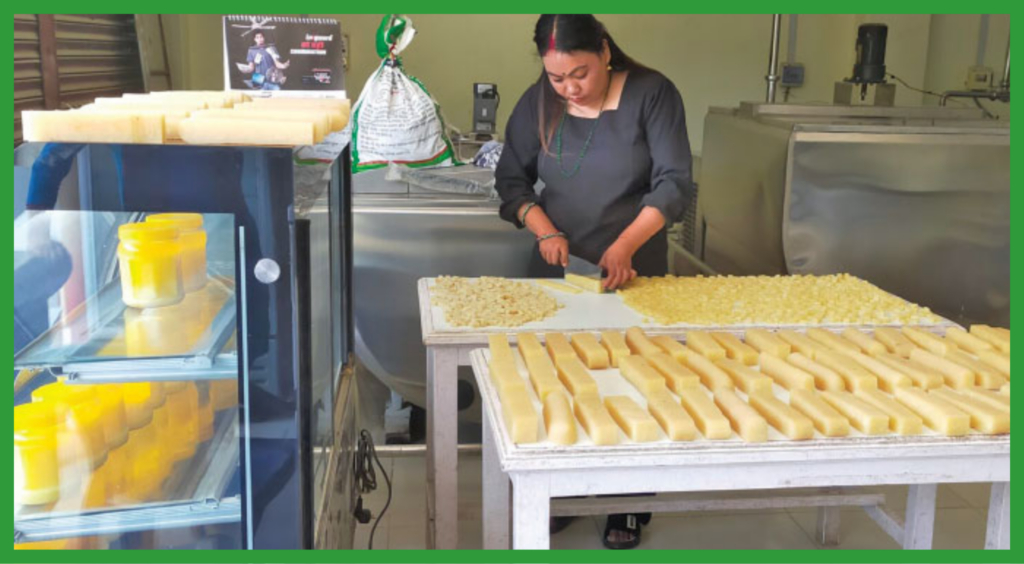 Process of Chhurpi Production in Nepal