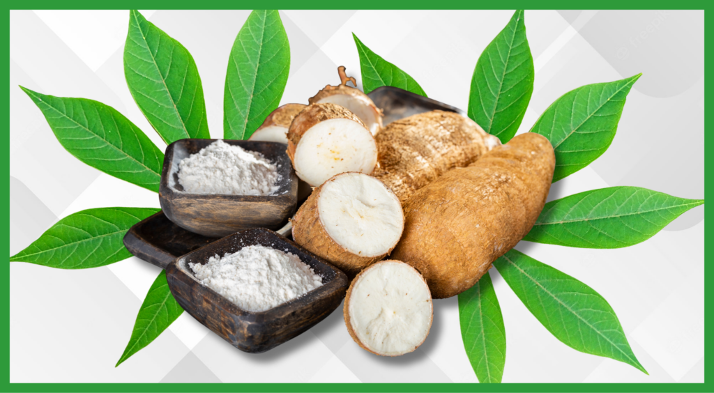 Cassava (Simaltarul)