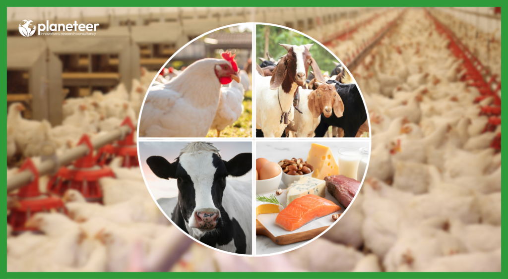 agri-business possibilities in Nepal farm and market