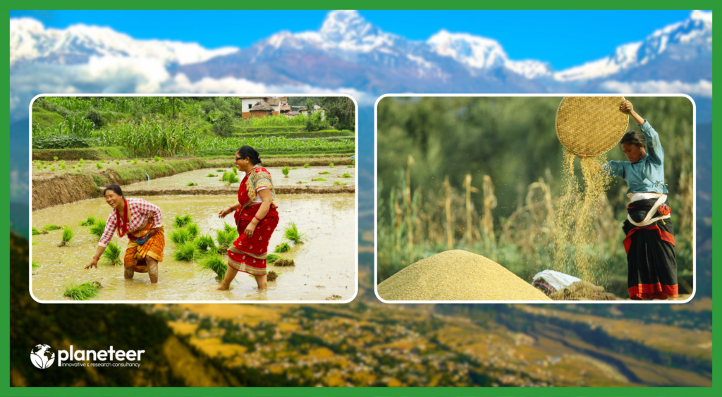 Agriculture possibilities in Nepal
