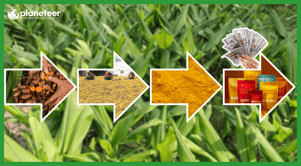 Turmeric Farming Agribusiness in Nepal
