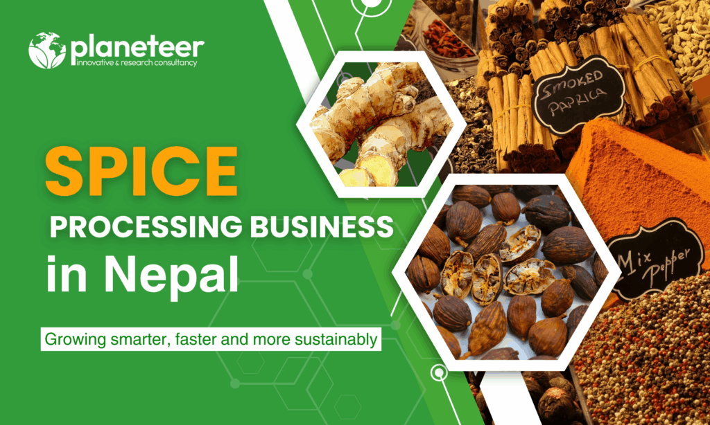 Spice Processing Business in Nepal 2026