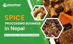 ‌How to Start a Spice Processing Business in Nepal: A Practical Guide for Farmers‌