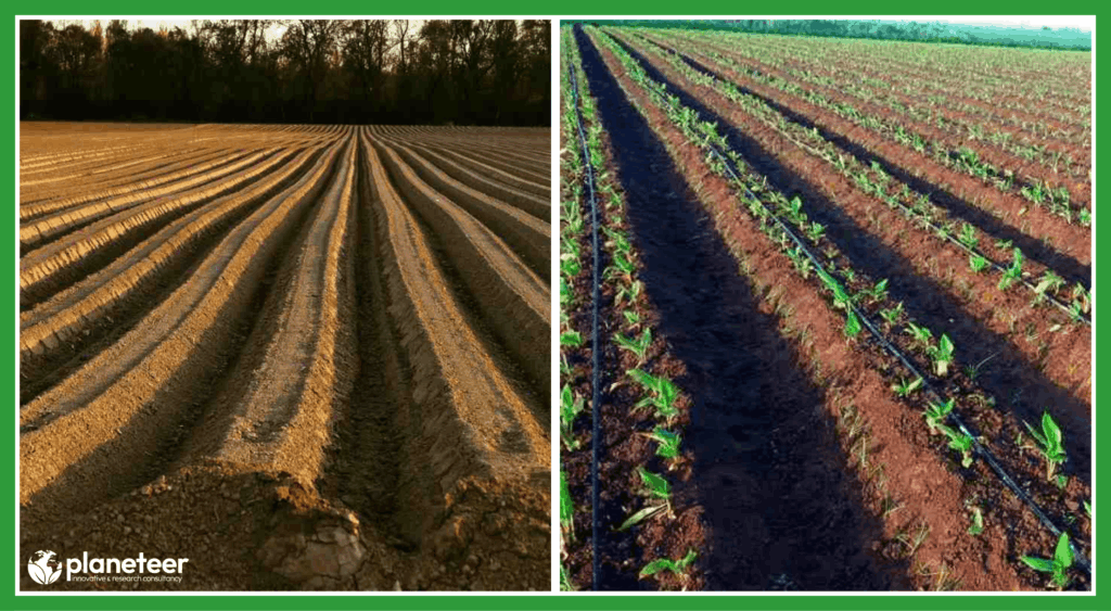 Land for Turmeric Farming
