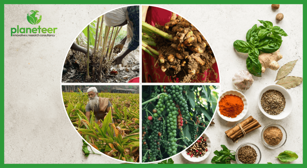 Spice Processing Business in Nepal
2026