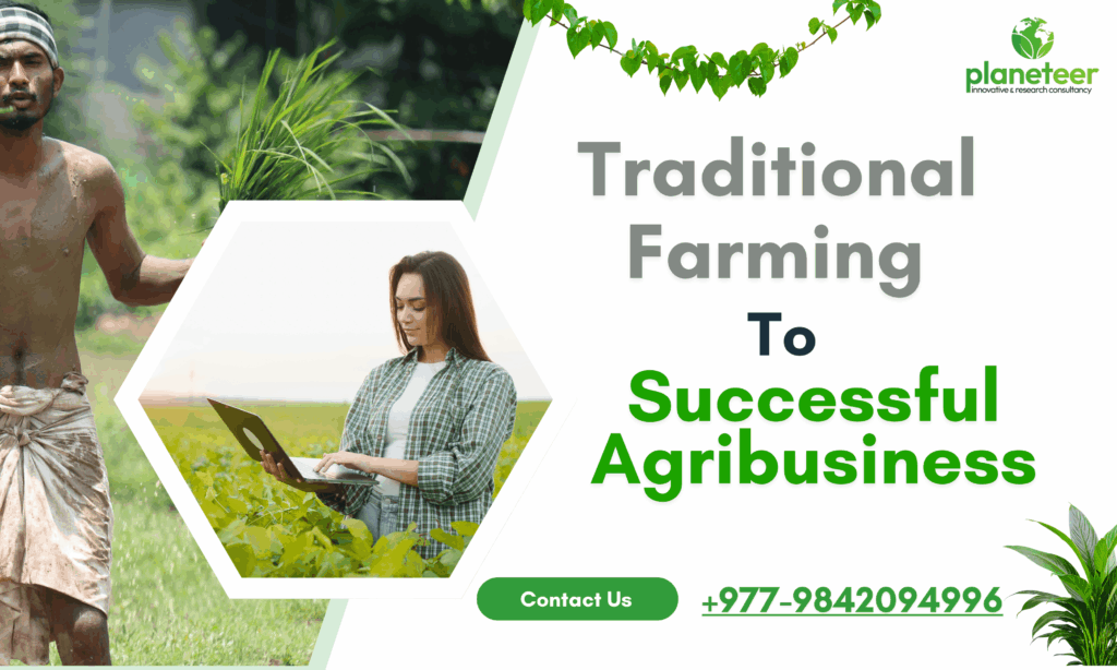 Traditional Farming into a Successful Agribusiness