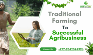How to Turn Traditional Farming into a Successful Agribusiness in Nepal: A Complete Practical Guide for Farmers