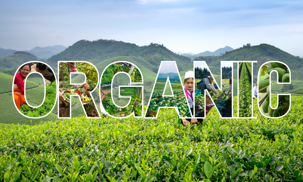 Organic Food Nepal